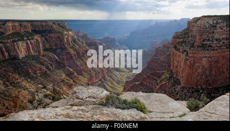 Cape Royal - North Rim des Grand Canyon, AZ Stockfoto