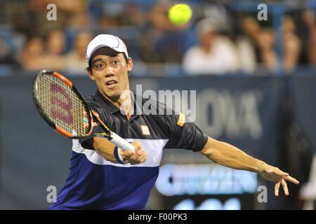 Washington, DC, USA. 4. August 2015. KEI NISHIKORI Japans spielt gegen James Duckworth Australiens an Tag2 der Citi Open auf dem Rock Creek Tennis Center in Washington, DC Credit: Kyle Gustafson/ZUMA Draht/Alamy Live News Stockfoto