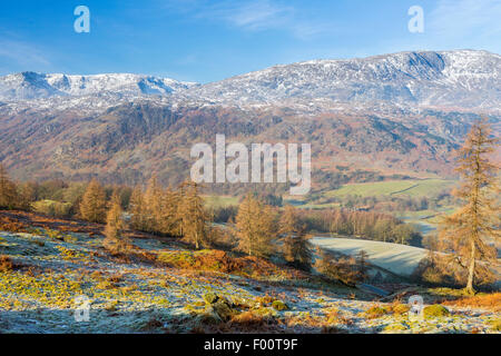 Ein Blick vom Tarn Hows Aufnahme in Richtung The Old Man of Coniston, Nationalpark Lake District, Cumbria, England, Vereinigtes Königreich, Eur Stockfoto