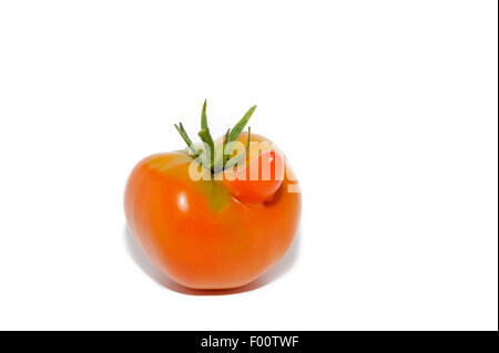 Neugierig Tomate mit Anhängsel in Form von einer langen Nase auf weiß. Stockfoto
