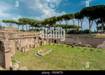 Ruinen von römischen Forum-Stadion. Rom. Italien. Stockfoto