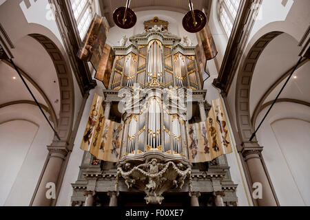 Duyschot Orgel der evangelischen Westerkerk in der niederländischen Hauptstadt Amsterdam, Nordholland, Niederlande Stockfoto