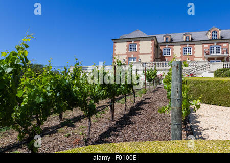 Napa Valley, Kalifornien - 12. Mai: Schloss, Domaine Carneros ein Ort großen Wein, 12. Mai 2015 schmecken Napa Valley, Cali Stockfoto