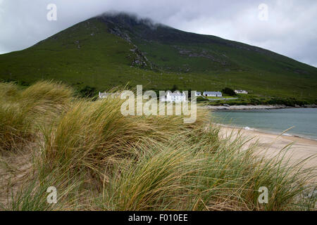 Dünengebieten Grass auf Doogort Strand und Slievemore Mountain auf den wilden Atlantik Weg Küstenroute Doogort Achill Island, County Mayo, Stockfoto