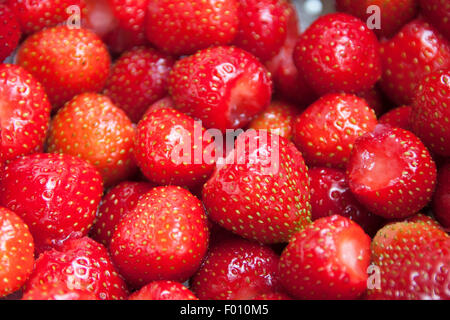 Erdbeeren in Nahaufnahme Stockfoto