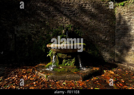 Alter Brunnen eingelassen Burg Ringmauer, Lismore, Grafschaft Waterford, Irland Stockfoto