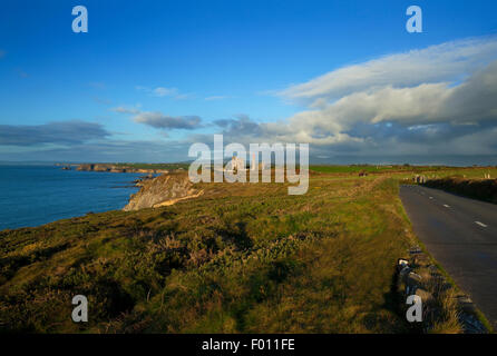 Die Kupferminen bei Tankardstown, an der Küstenstraße, Copper Coast Geopark, in der Nähe von Bunmahon, Grafschaft Waterford, Irland Stockfoto