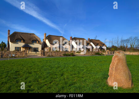 Gehobenen Ghost Nachlass von strohgedeckten Hütten, St James Wood, Stradbally, Grafschaft Waterford, Irland Stockfoto