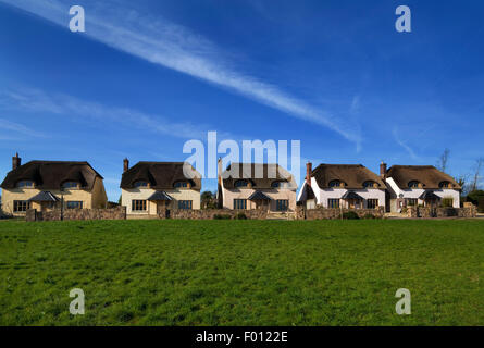 Gehobenen Ghost Nachlass von strohgedeckten Hütten, St James Wood, Stradbally, Grafschaft Waterford, Irland Stockfoto