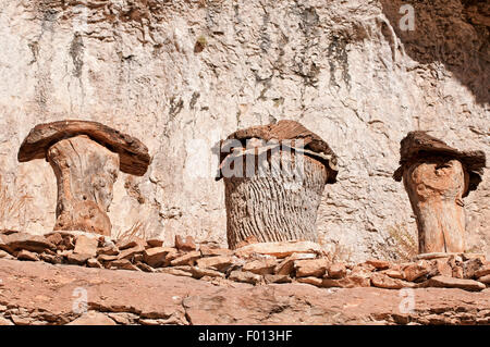 Bienenstöcke für Honigbienen in den Felsen. El Colmenar de Los Frailes. Cañon del Rio Lobos Naturpark. Soria. Spanien. Stockfoto