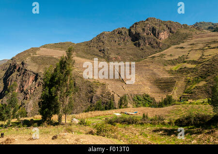 Inca Terrassierung oberhalb Pisac, Heiliges Tal, Peru Stockfoto