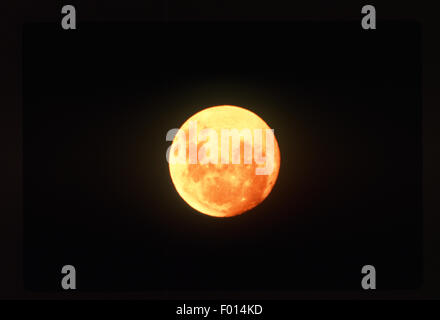 Orange Vollmond im schwarzen Himmel Stockfoto