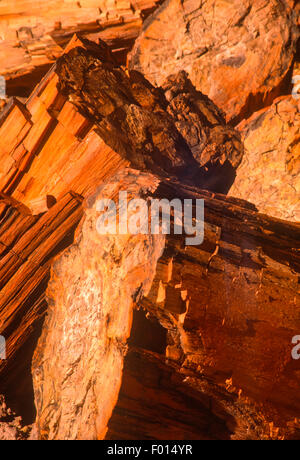 versteinertes Holz, Petrified Forest National Park, Arizona Stockfoto