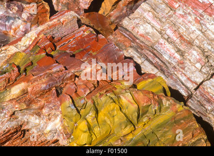 versteinertes Holz, Petrified Forest National Park, Arizona Stockfoto