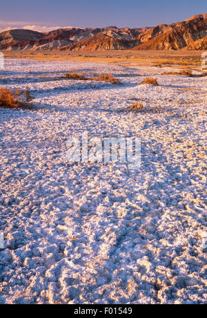 Salinen in Badwater Basin, in der Abenddämmerung, Death Valley Nationalpark, Kalifornien Stockfoto