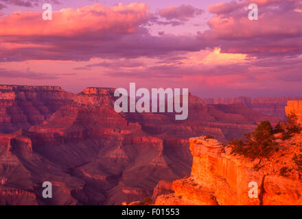 Blick vom Yaki Point, Grand Canyon Nationalpark in Arizona Stockfoto