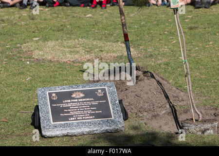 Hundertjahrfeier der Schlacht von Lone Pine zwischen australischen und osmanischen Truppen während des ersten Weltkrieges erinnert an Avalon Public School, Sydney, Australia.The Gouverneur von New South Wales, General David Hurley die lone Pine gepflanzt und eine zeremonielle Gedenktafel enthüllt. Stockfoto