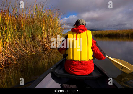 OR26165 Auf Holz-Fluss, Wood River Feuchtgebiet, Klamath Falls District Bureau of Landmanagement, Kanufahren oder Stockfoto