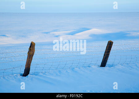 Vieh-Zaun am Klamath Marsh im Winter, Klamath County, Oregon Stockfoto