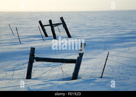 Vieh-Zaun am Klamath Marsh im Winter, Klamath County, Oregon Stockfoto