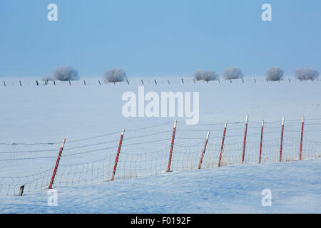 Vieh-Zaun am Klamath Marsh im Winter, Klamath County, Oregon Stockfoto