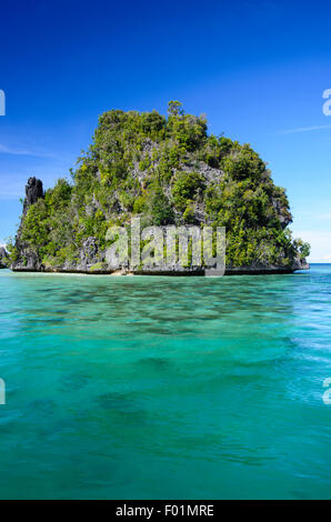 Vegetation bedeckt Karst-Felsen-Insel umgeben von Korallenriffen, Misool Region, Raja Ampat, Indonesien, Pazifischer Ozean Stockfoto