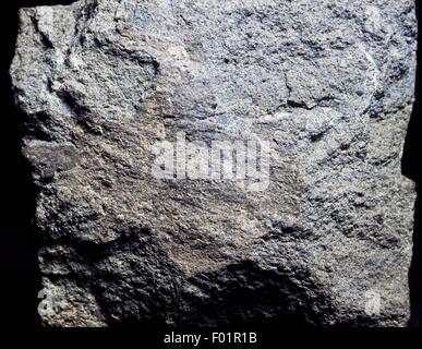 Sandstein, Sedimentgestein. Stockfoto