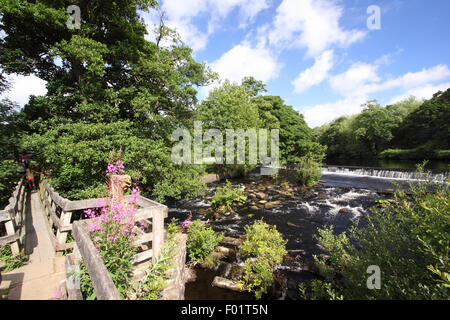 Ein Holzsteg überspannt den Fluss Derwent von Bamford Mill und Weir (im Bild) in Bamford Dorf, Peak District, England uk Stockfoto