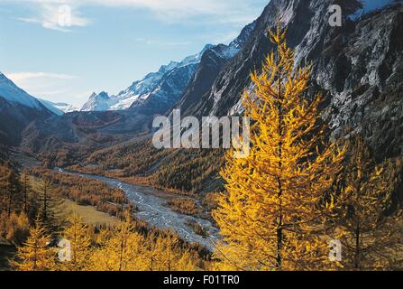 Dora di Veny River, im Hintergrund der Miage Gletscher, Mont Blanc, Val Veny, Aosta-Tal, Italien. Stockfoto