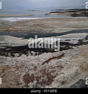 Salzablagerungen an den Ufern des Lake Assal, ein Salzsee liegt 155 m unter dem Meeresspiegel, der niedrigste Punkt auf Land in Afrika, Republik Dschibuti. Stockfoto