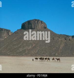 Erodierte Sandstein Felsen, Kamel Zug im Vordergrund, Tassili n ' Ajjer Nationalpark (UNESCO-Welterbe, 1982), die Wüste Sahara, Algerien. Stockfoto