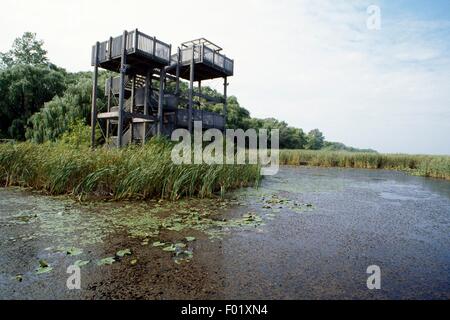 Point Pelee National Park, Ontario, Kanada. Stockfoto