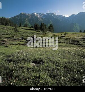 Italien - Region Piemont - Chisone-Tal. Orsiera Rocciavre Naturpark. Alpine Landschaft Stockfoto