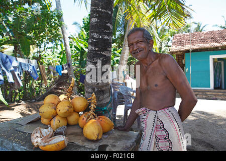 Mann, 60 Jahre alt, offene Kokosnüsse, Dondra, Ceylon, Sri Lanka, Indischer Ozean, Südprovinz schneiden Stockfoto