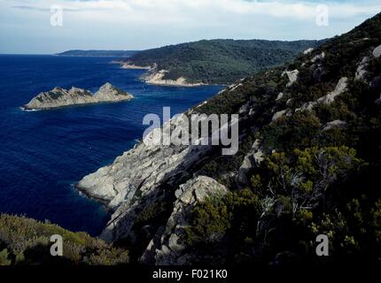 Blick über den Nationalpark Port-Cros, Frankreich. Stockfoto