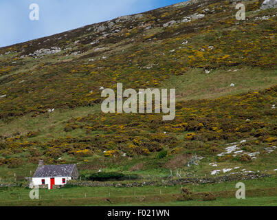 Carreg Bach einstöckige traditionelle walisische Hütte, Bardsey Island, Gwynedd, ENE mit Mynydd Enlli nach hinten ansteigende suchen. Stockfoto