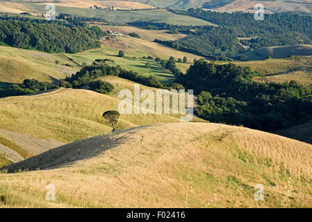 Landschaft, Volterra, Provinz Pisa, Toskana, Italien Stockfoto