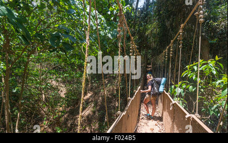 Wanderer, junge Frau, die zu Fuß entlang einer Hängebrücke in den Dschungel, Kuala Tahan, Taman Negara Nationalpark, Malaysia Stockfoto