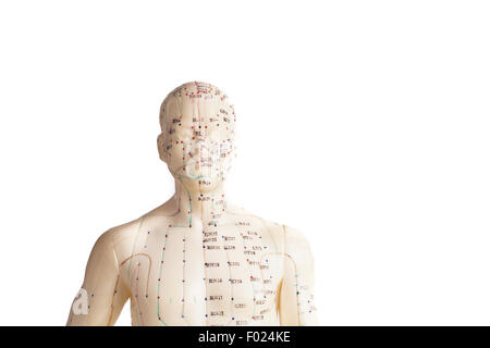 Akupunkturmodell der menschlichen, isoliert auf weiss Stockfoto