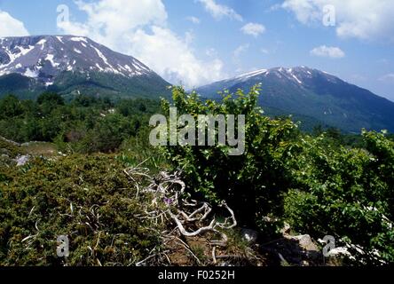 Monte Pollino (2248 m) und Serra del Prete, Nationalpark Pollino, Basilikata und Kalabrien, Italien. Stockfoto