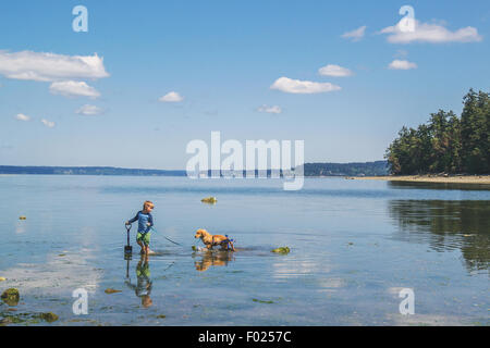 Junge mit behinderten Hund zu Fuß in einem See, USA Stockfoto