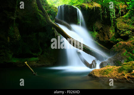 Cascada La Vaioaga in Cheile Nerei National park - Rumänien Stockfoto