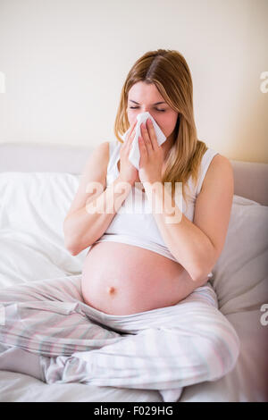 Schwangere Frau ihre Nase weht Stockfoto