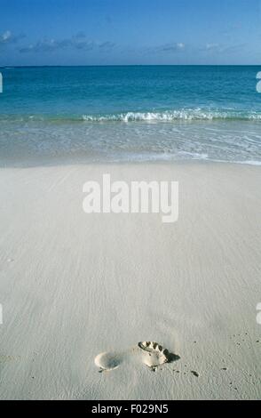 Bahamas - Insel San Salvador - Fußabdruck am Strand Stockfoto