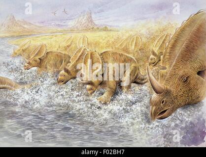 Palaeozoology - Kreidezeit - Dinosaurier - Centrosaurus - Kunstwerk von Graham Berry Stockfoto