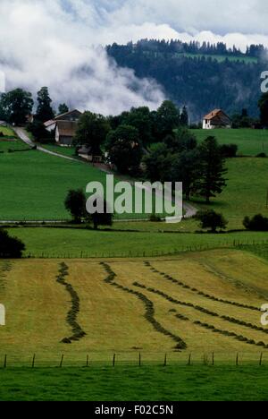 Landschaft, Tal des Doubs, Jura Berge regionalen Naturpark (Parc Naturel regional du Haut-Jura), Frankreich. Stockfoto