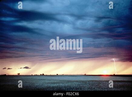 Canada - Manitoba - Nähe von Brandon. Sommersturm, Blitz Stockfoto