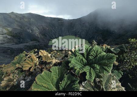 Costa Rica - Cartago - Parque Nacional Volcan Irazu. Der grüne See im Irazu Vulkan Krater Stockfoto