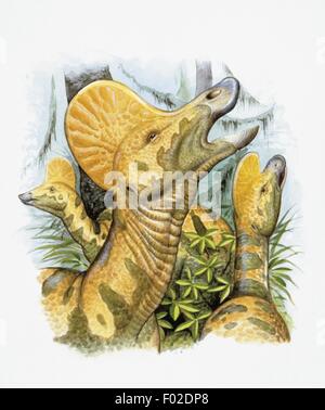 Palaeozoology - Kreidezeit - Dinosaurier - Corythosaurus - Kunstwerk von Wayne Ford Stockfoto