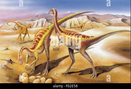 Palaeozoology - Kreidezeit - Dinosaurier - Anserimimus - Kunstwerk Stockfoto